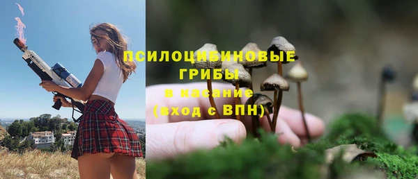 СК Магадан