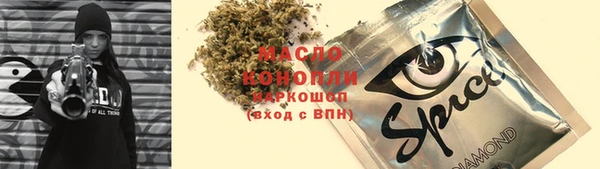 МДПВ Каменногорск