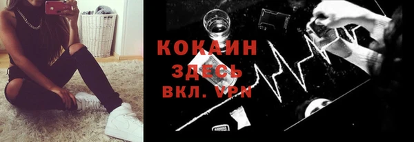 ПСИЛОЦИБИНОВЫЕ ГРИБЫ Каменка