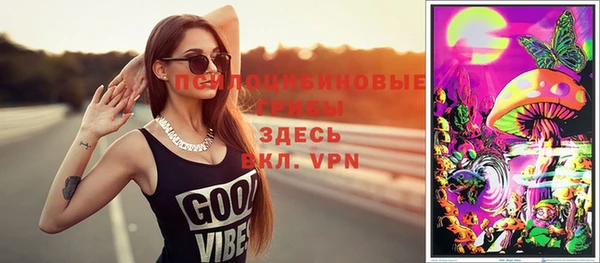 СК Магадан