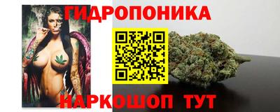 спайс Берёзовский