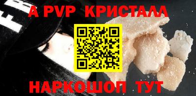 спайс Берёзовский