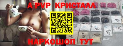 спайс Берёзовский