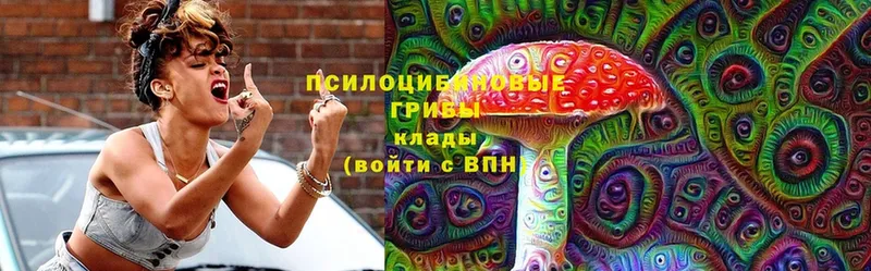 Галлюциногенные грибы Magic Shrooms  Дивногорск 