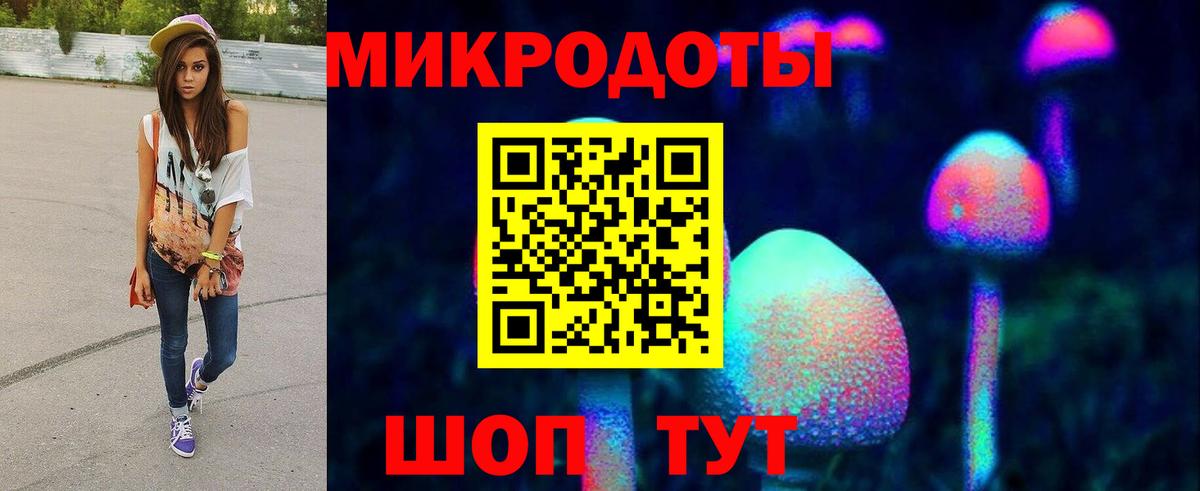 Псилоцибиновые грибы GOLDEN TEACHER Дивногорск