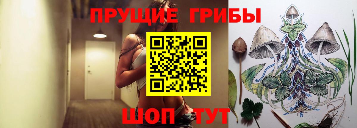 Галлюциногенные грибы ЛСД Дивногорск